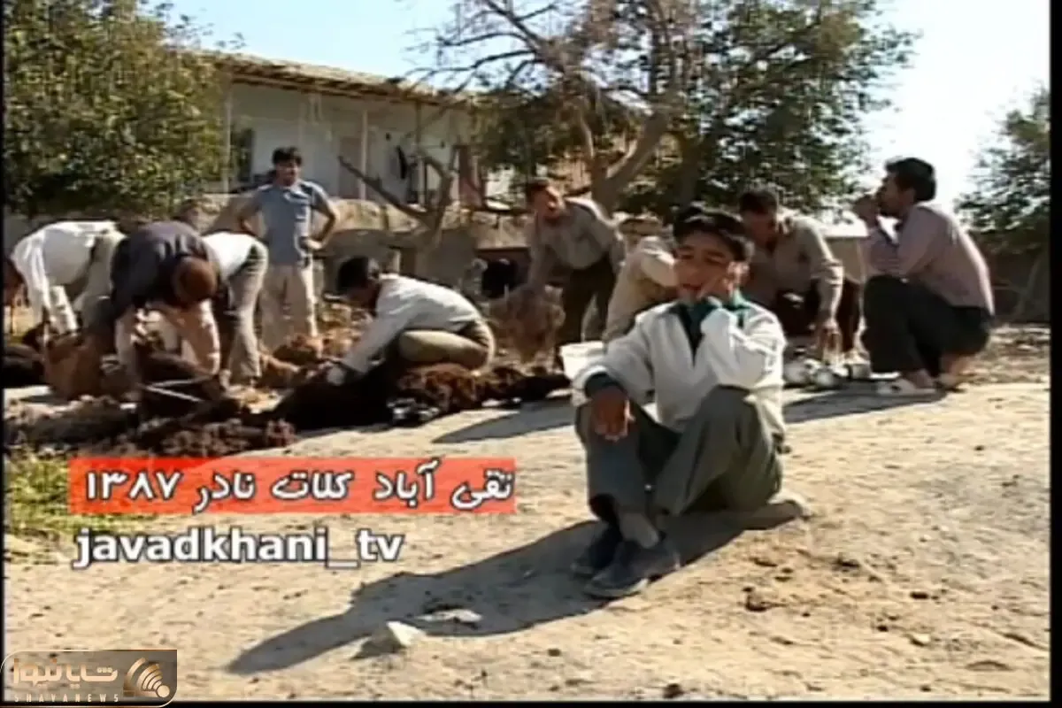 آواز محلی؛ پسرک چه آهنگ سوز داری میخونه ماشاالله به اوج صداش فقط پشم گوسفند زدنشون