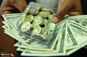 سکه یا دلار؟ با خرید کدامیک سود بیشتری می توان به جیب زد؟
