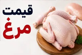 قیمت مرغ امروز یکشنبه 22 شهریور 1405 / مرغ کامل چقدر است؟