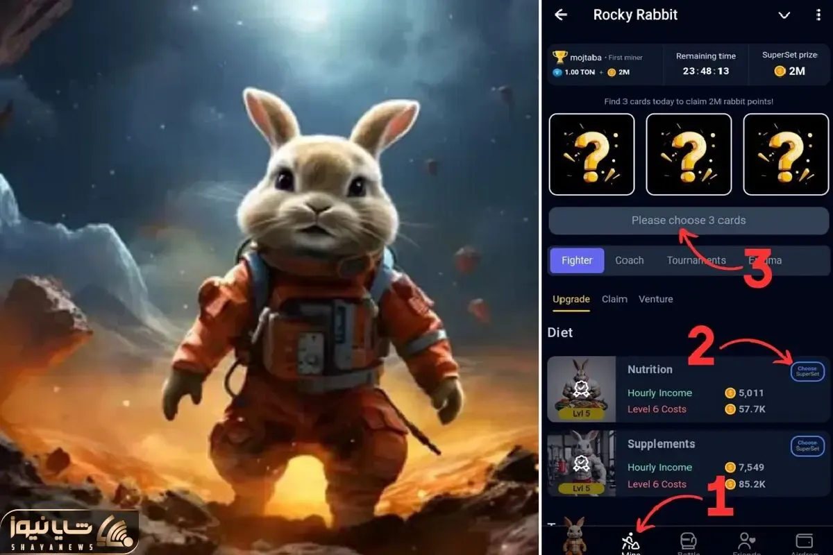 کارت های راکی رابیت (rocky rabbit) پنج شنبه و جمعه 1 و 2 شهریور+ آموزش