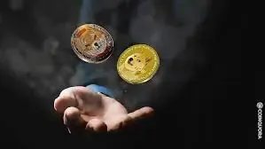 جنجال بین شیبااینو و دوج کوین!