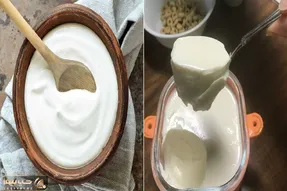 درست کردن ماست سفت و کش دار با شیر؛ با این دستور از ماستای شرکتی هم بهتر میشه