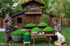 غذای خوش پخت دهاتی؛ خانوم باسلیقه با گوجه سبزای باغش رب آلو پخته ببینی دهنت آب میفته