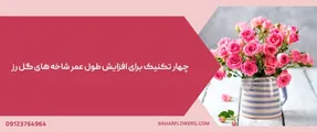 4 تکنیک برای افزایش طول عمر شاخه های گل رز