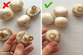 میخوای قارچ غذات عین پنبه سفید باشه و آب هم نندازه؟ بیا ببین همه چیو راجبش گفتم!
