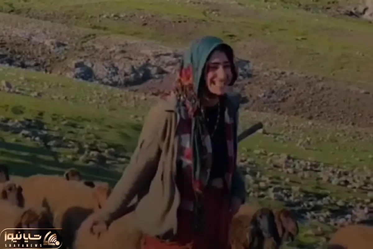 آواز محلی؛ ماموستا حسن زیرک برای دختر گوسفندچران آهنگ محشری خوند