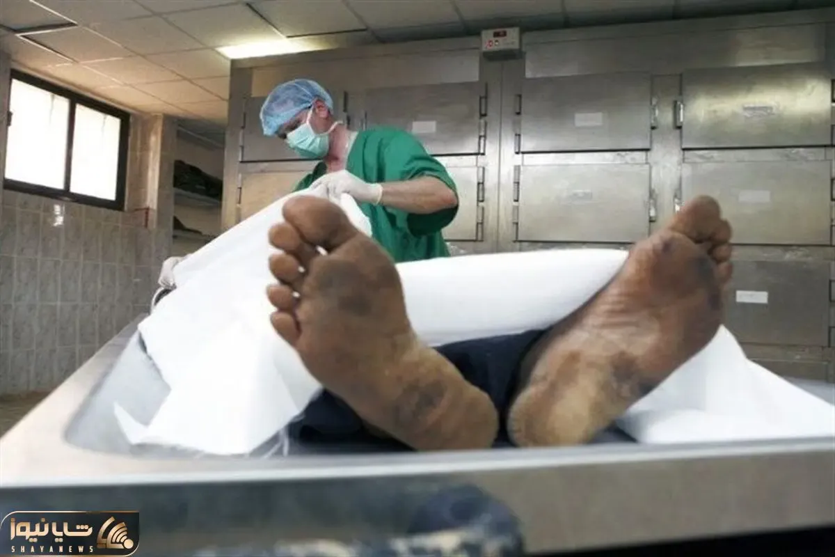 قتل فجیع راننده اسنپ ؛ او به‌ شدت کتک خورده و خفه شده بود