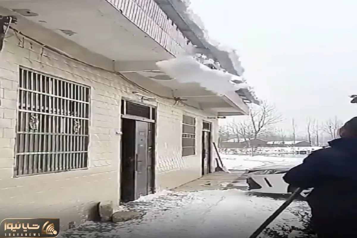 معماری طبیعت؛ چند میلیمتر اینورتر برف یخ زده گردن این فرد رو میشکست