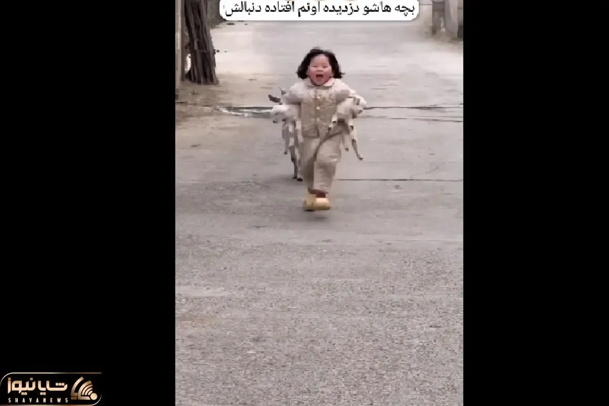 یه دختر بچه کوچولو بزغاله ها رو میدزده مادرشونم میوفته دنبالش/از خنده پخش زمین می شید
