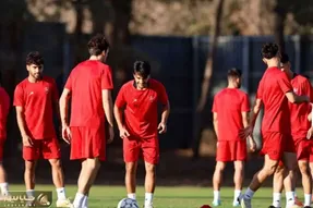 کشف پدیده دروازه‌بانی در پرسپولیس