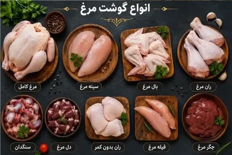 قیمت مرغ امروز شنبه 7 شهریور 1405 / فیله مرغ چقدر شد؟