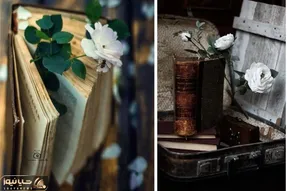 داستان شب؛ اگه می خوای یکم حال و هوات عوض شه با این داستان جذاااب زدی وسط خال!