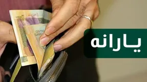 چه کسانی مشمول افزایش مبلغ یارانه در سال 1401 می شوند؟