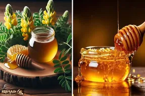 خواص و ضررهای عسل که ندونسته به بدن تزریق می کنیم / خوشمزه ی طلایی با تاثیرگذاری فول