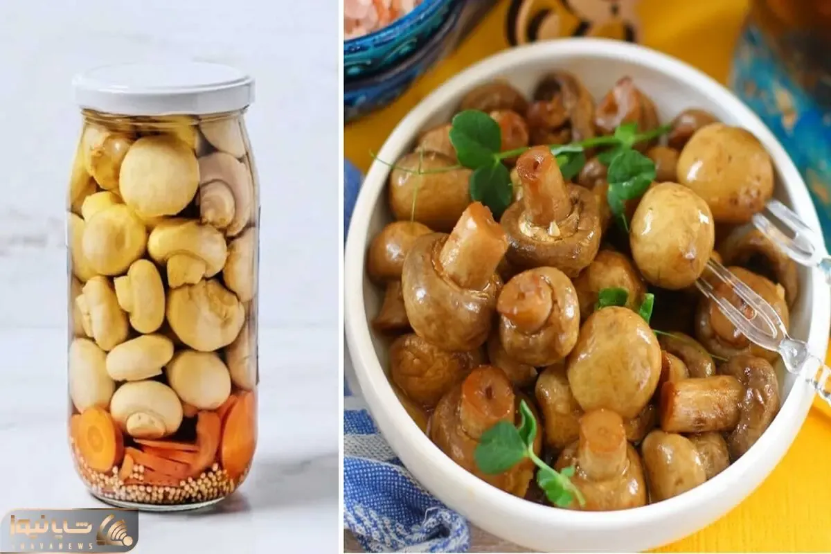طرز تهیه ترشی قارچ خونگی / یه کنار غذای فوق العاده با مزه بی نظیر