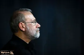 درخواست علی لاریجانی از رسانه ها