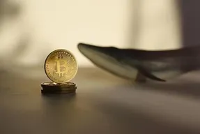 ماجرای جابجا شدن 500 بیت کوین در هفته های اخیر چیست؟