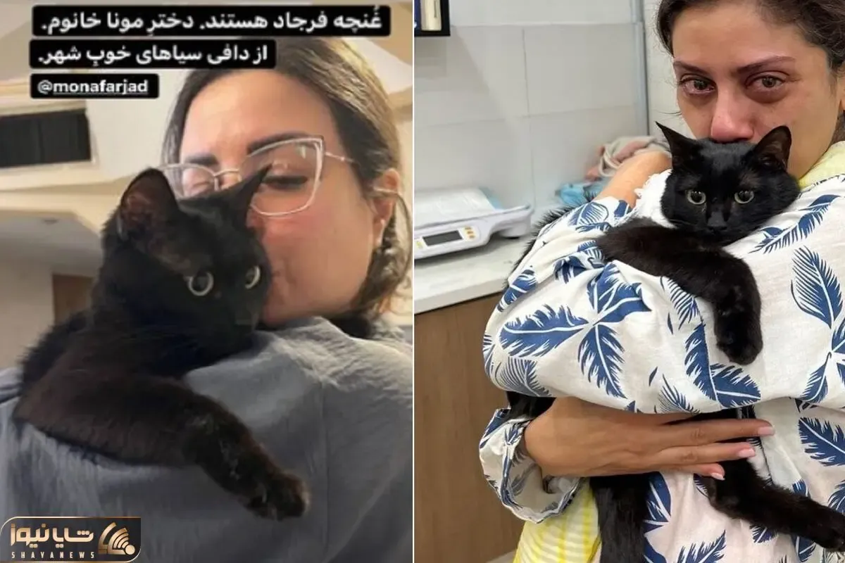 مونا فرجاد داغ دار گربه اش شد؛ متن احساسی خانم بازیگر برای دافی سیاه پشمالوش