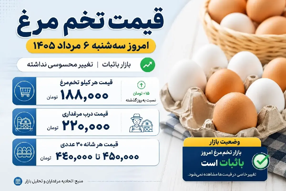 قیمت تخم مرغ امروز سه شنبه 6 مرداد 1405 | هر شانه 30عددی را چقدر بخریم؟