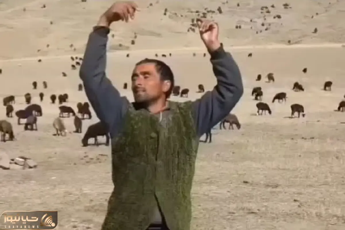 آواز برزنی؛ چوپان سرخوش موقع چرا چه رقص پر اطواری میکنه فقط که گوسفندا خشکشون زده