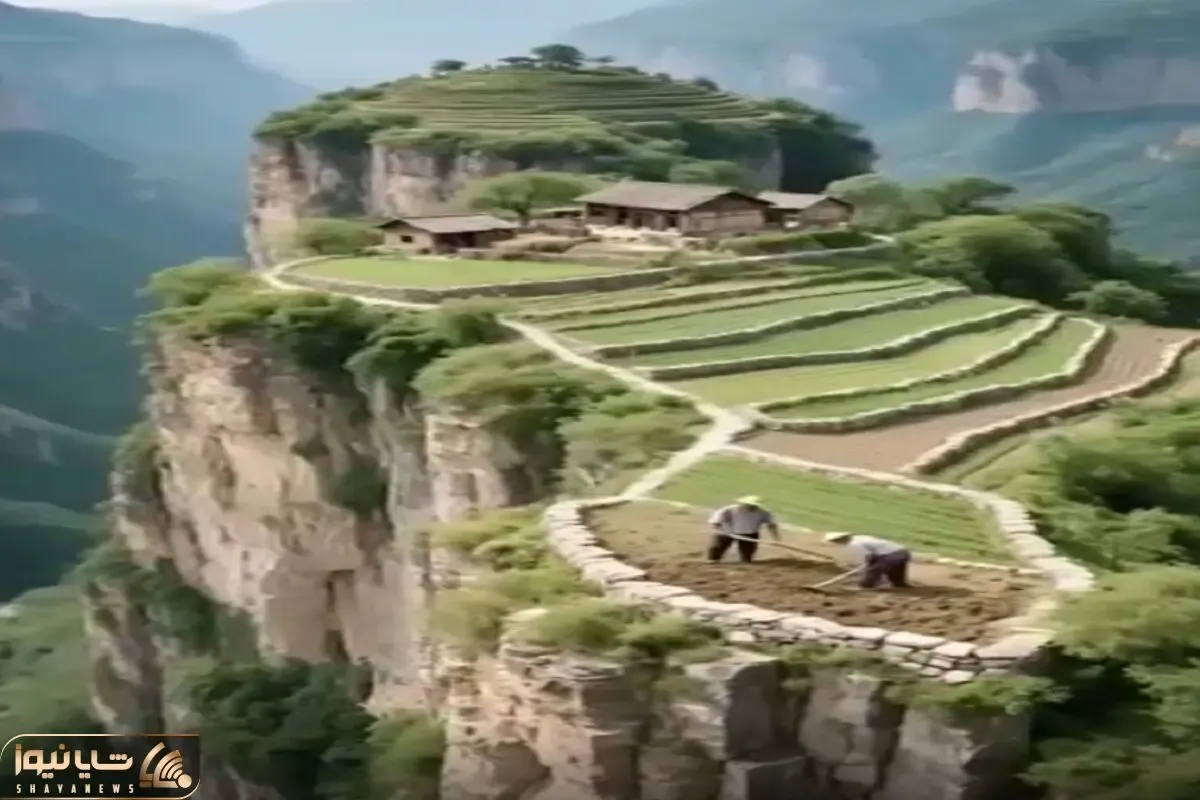 معماری خلاقانه؛ مزرعه زدن تو ابرا پرنده تا اون ارتفاع نمیتونه پرواز کنه محصول کش بره