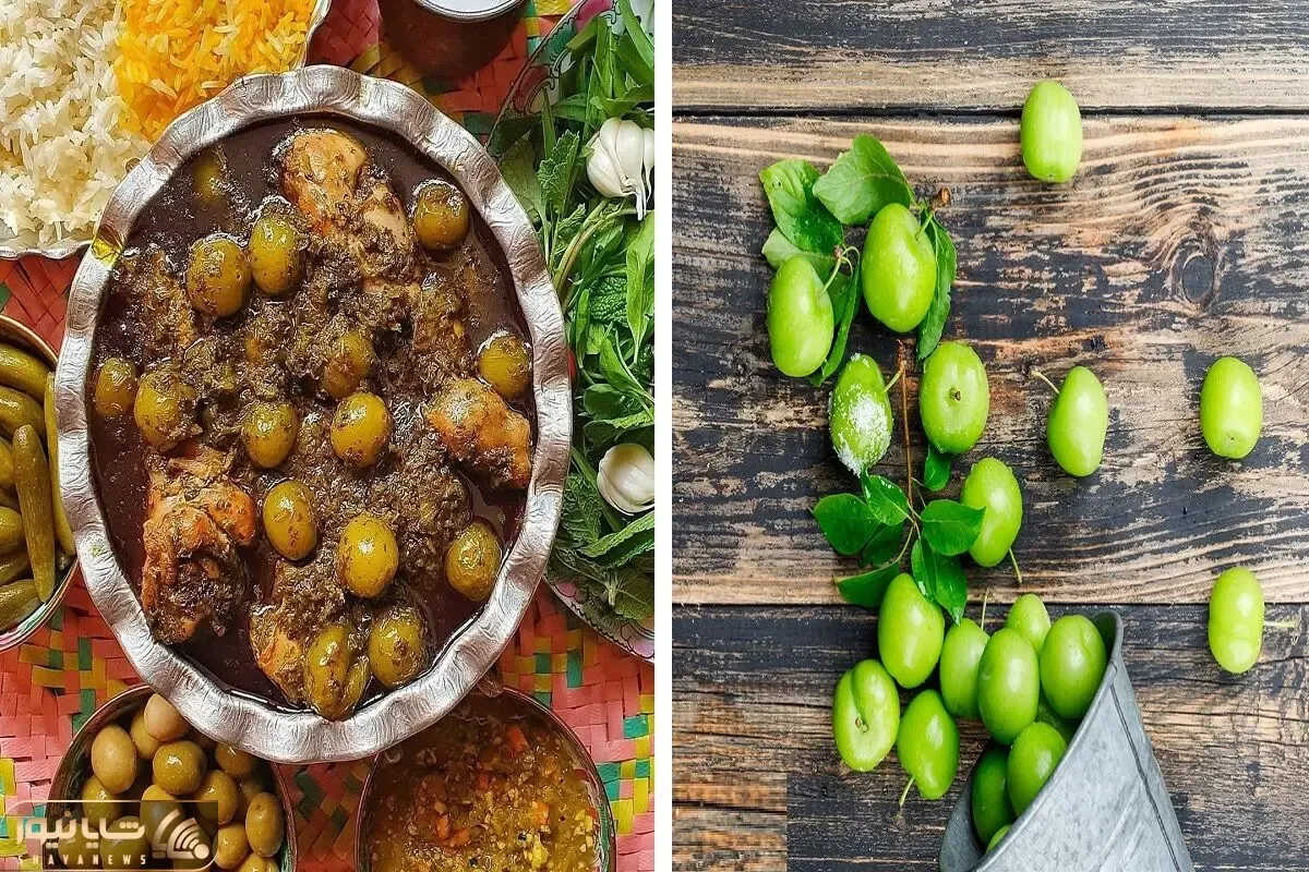 طرز تهیه ی خورشت گوجه سبز؛ این گردالوهای سبز و ترش رو تو غذا امتحان کن، طعم بهشت میده