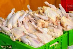 مرغ ۴۰ هزار تومانی به بازار می‌آید؟