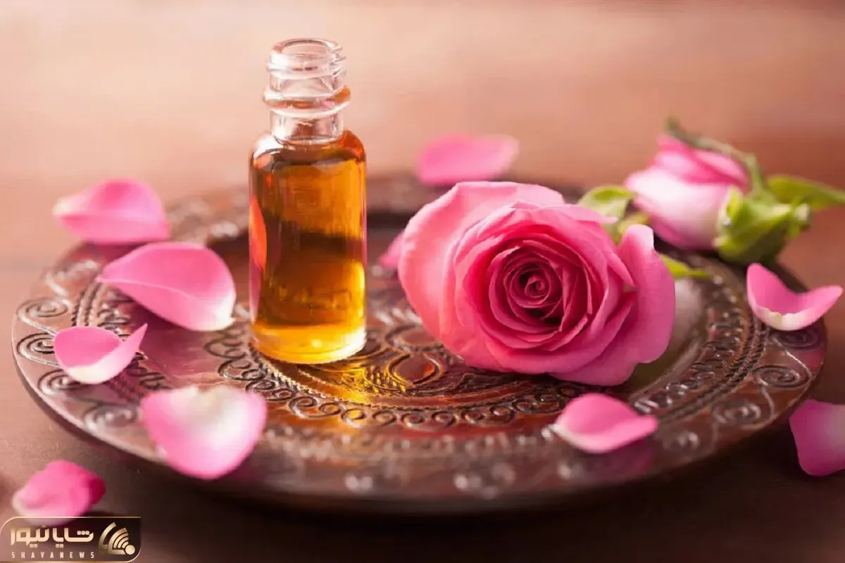 اعجوبه ای به نام روغن گل رز /  مثمر ثمر بودنش چشماتو چارتا میکنه