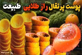 کشاورزی مدرن / ۲۰ هزار کیلو پوست پرتقال رو در جنگل ریختن و ۱۵سال بعد همه شوکه شدن