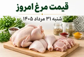قیمت مرغ امروز شنبه 31 مرداد 1405 / هر کیلو مرغ را چقدر بخریم؟
