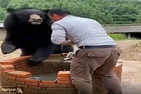 معماری طبیعت؛ خرس بلای سگ سر مرد آوورد