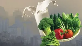 در خانه چگونه اثرات آلودگی هوا را از بین ببریم؟
