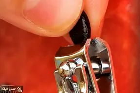 کشاورزی نوین؛ دونه ی هندونه رو ننداز دور، نوکشو با ناخنگیر گرفت جوونه زد میوه داد
