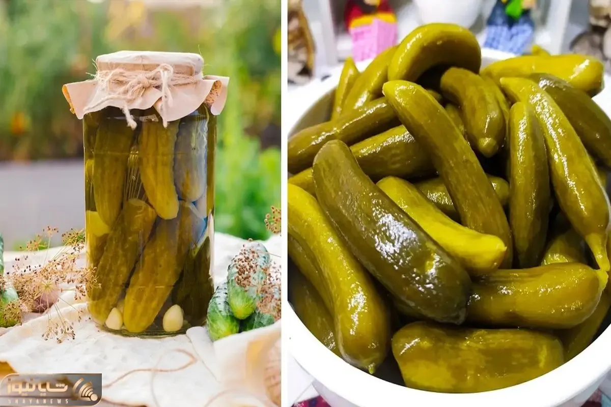 رازهای خیارشور خونگی ترد و خوشمزه / ترفندهایی که تا حالا هیچکس بهت نگفته