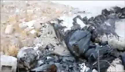فاجعه وحشتناک سوزاندن سگ ها در شاهدشهر تهران