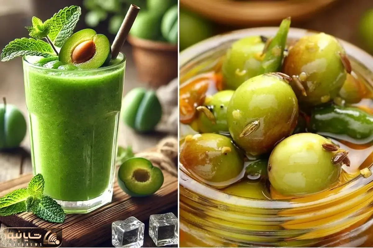 طرز تهیه چند خوردنی خوشمزه با گوجه سبز / میوه ترش بهاری رو به بهترین شکل مصرف کنید
