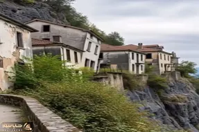 معماری طبیعت؛ گل بگیرن بخت صاحب این خونه رو فقط خونه ی اون اضافی بود این بلا سرش اومد
