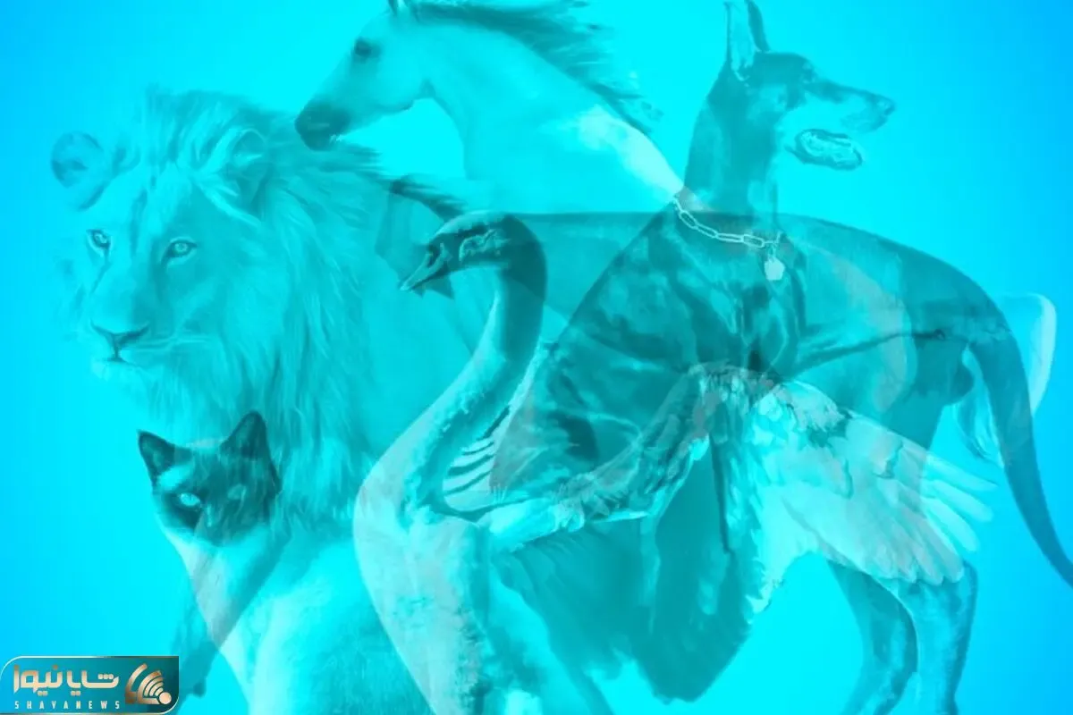 تست شخصیت شناسی تصویری؛ بگو تو تصویر چی چی میبینی تا پَته مَتَت رو بریزم رو داااریه!