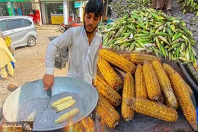 غذای خیابانی؛ ببینید بلال معرکه ای که این پسر اهل پیشاور تو نمک و رو هیزم کباب میکنه