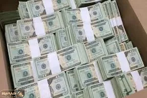 عجایب باورنکردنی/ کی باورش میشه یک پشه باعث بردن 1.5 میلیون دلار بشه