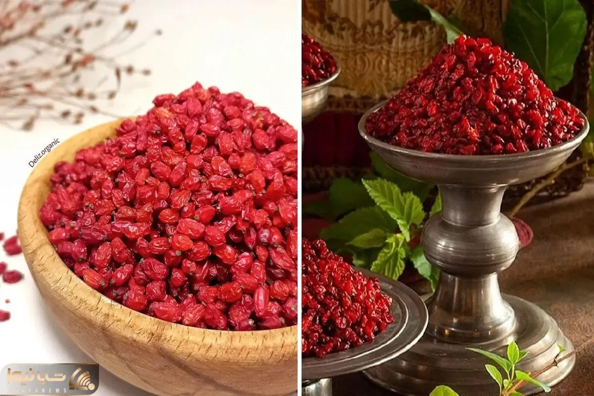 نحوه نگهداری از زرشک در خانه / نکات مهم برای جلوگیری از سیاه شدن زرشک