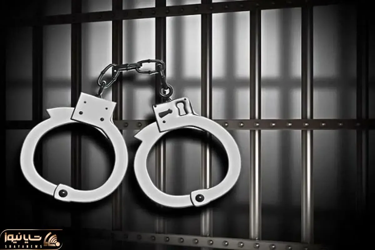 بازداشت ۷ بازیگر سرشناس‌ با ۳۸ لیتر مشروب