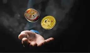 آیا SHIB و DOGE به شهرت بیت کوین و اتریوم می رسند؟