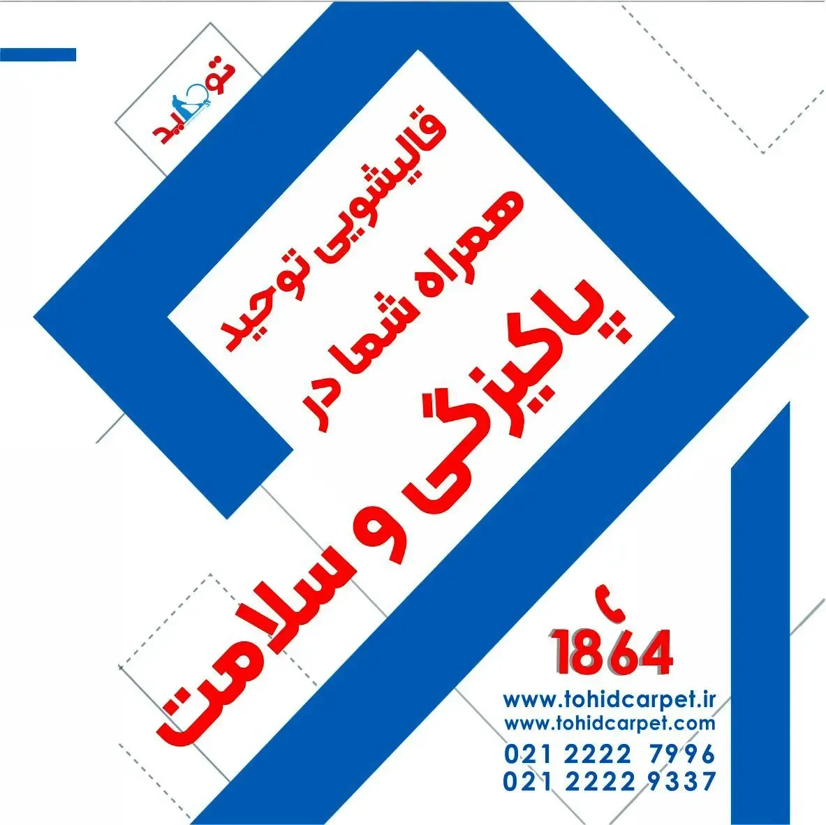 چگونه بوی بد مدفوع گربه را از مبل پاک کنیم؟