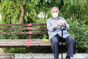 خبر مهم رئیس سازمان برنامه و بودجه به بازنشستگان؛ افزایش حقوق بازنشستگان سامان دهی شد