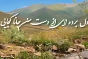 آواز اصیل؛ با این آهنگ سالار عقیلی قشنگ روحت میره وسط دشتای بهاری و پرواز میکنه