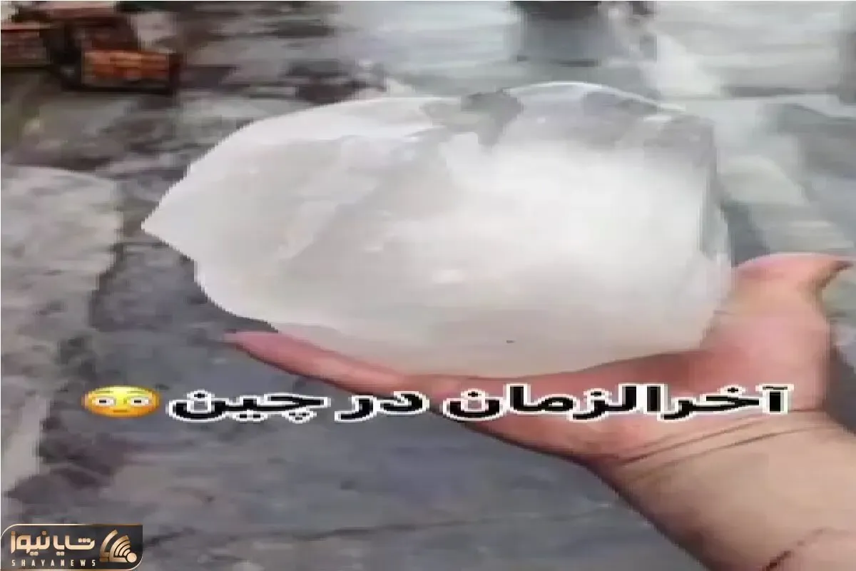 مستند کاوش؛ تو چین تگرگ اومده قد کلشون