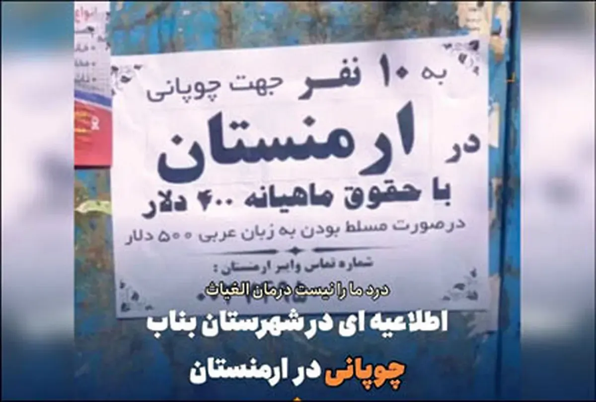 12 میلیون حقوق برای چوپانی ایرانی ها در ارمنستان!