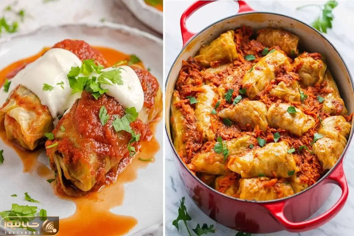 بهترین دستور برای تهیه دلمه کلم برگ / طعم و مزه این غذای خوشمزه رو فراموش نمیکنی