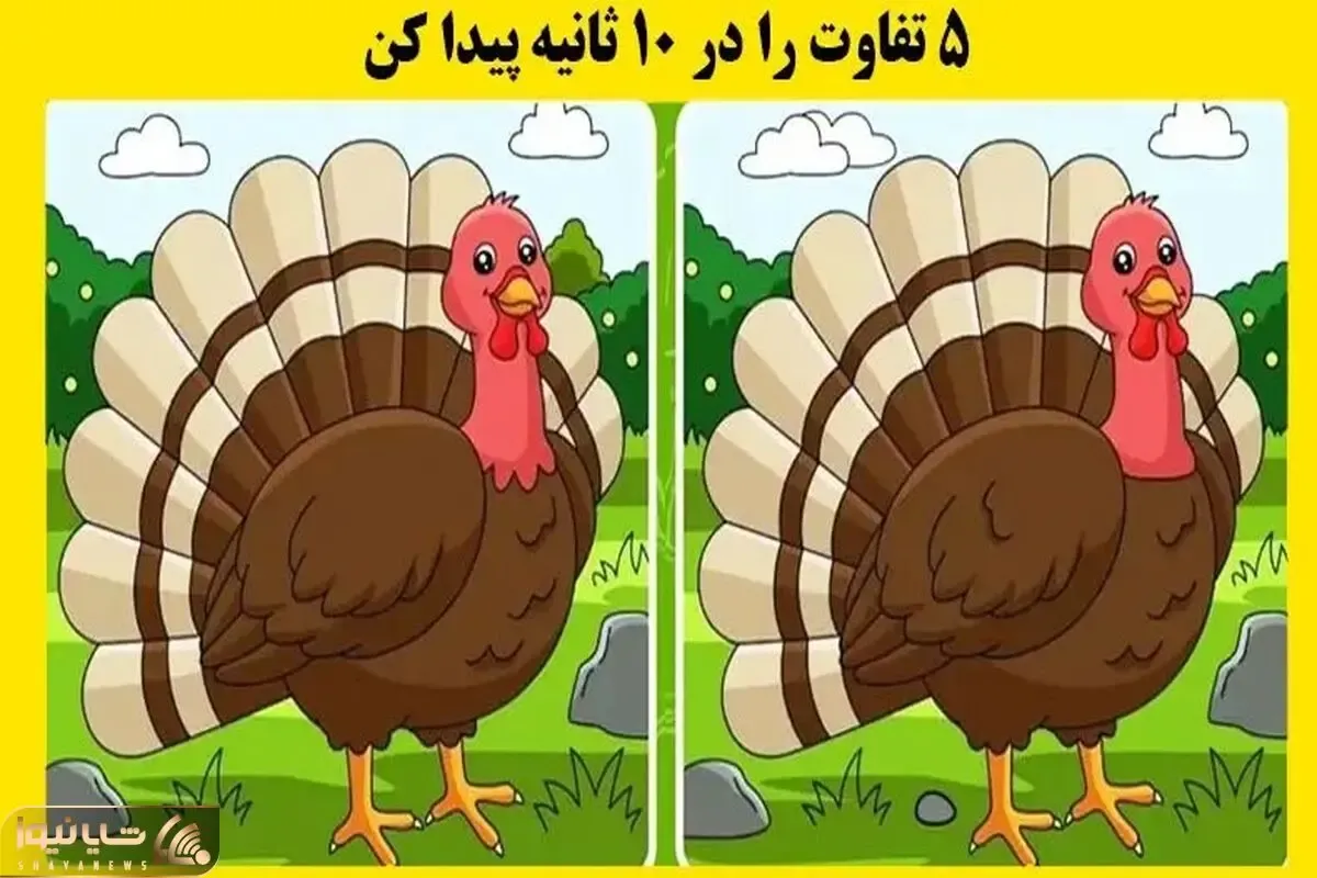 بازی فکری؛ شما فقط 10 ثانیه فرصت دارید تا 5 تفاوت میان دو تصویر را پیدا کنید؟